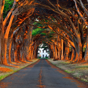 扒开+揉+羞耻+强制+h萧逸
